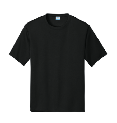dri tshirt (100% polyester)